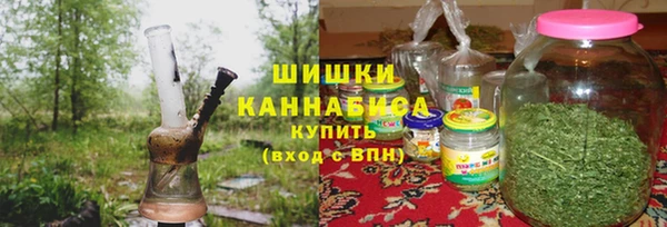 сатива Богородск