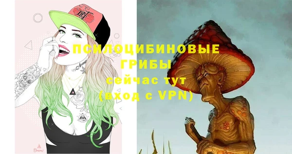 синтетический гашиш Бородино