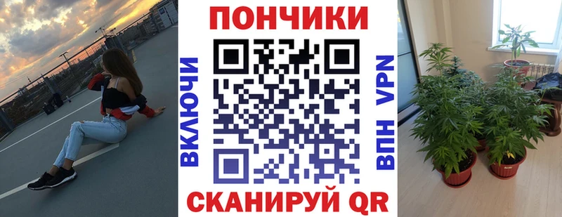 Бошки Шишки OG Kush  Нижний Новгород 